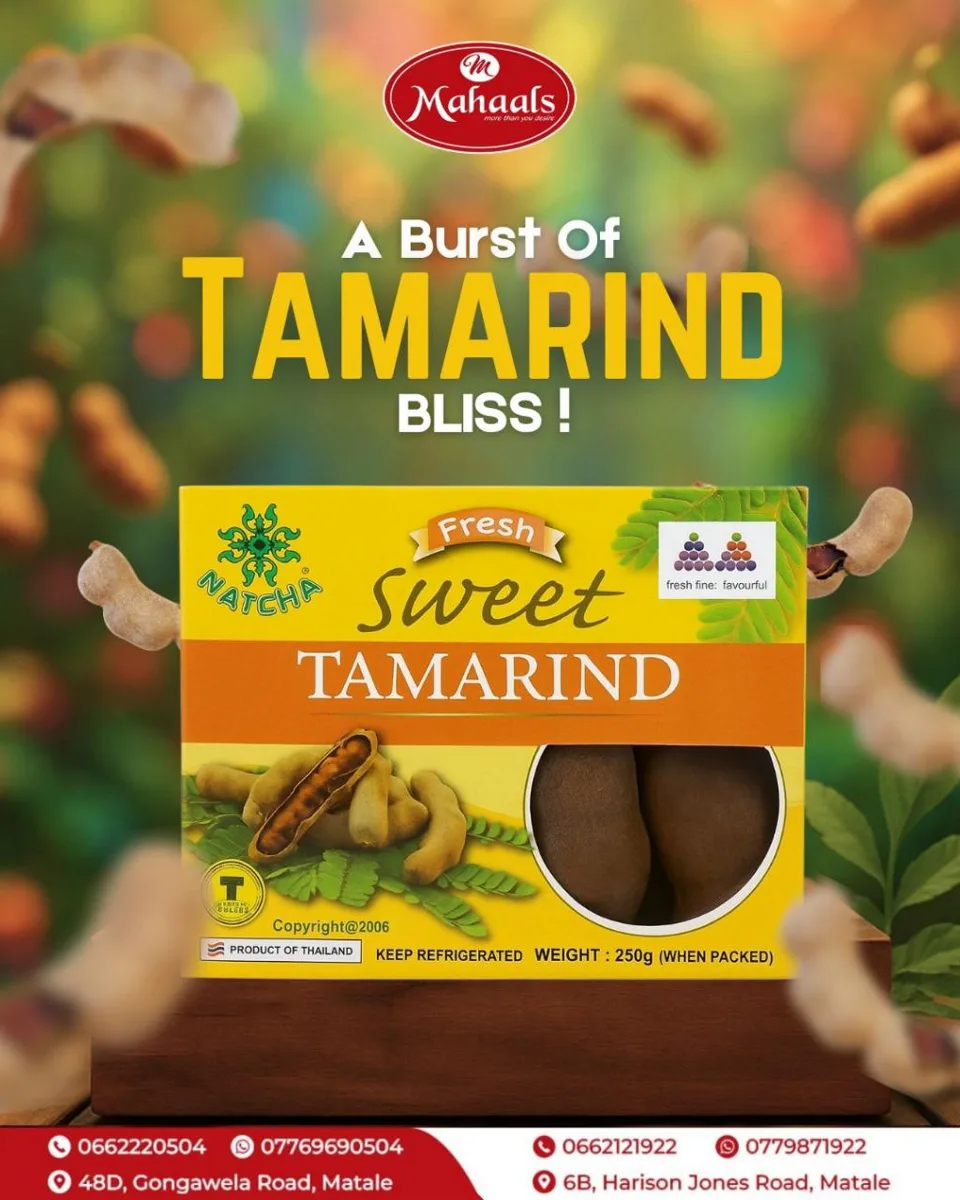 Mahaals — Tamarind campaign campaign artwork